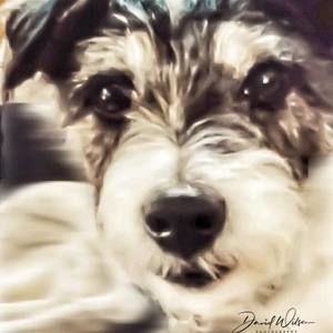 Meet your Posher, Barbara